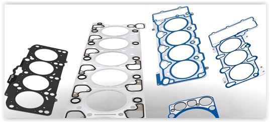 Reinz 02-33585-02 Motor Takım Conta Clıo 1.2 96-98 Clıo Iı 1.2 98