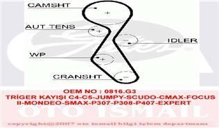 Triger Eksantrik Kayışı Scudo / 307 308 407 806 807 Expert / C4 C