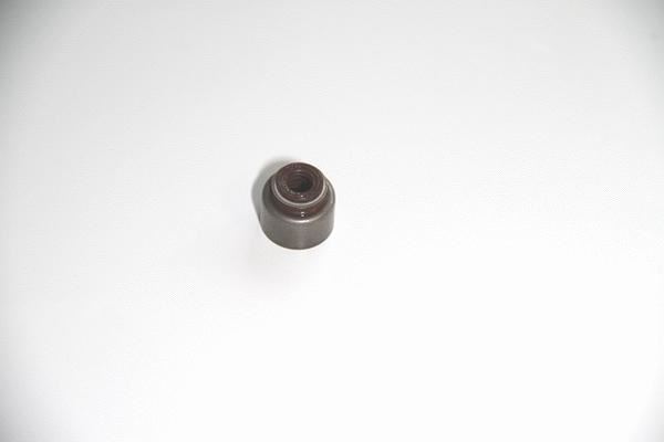 Reinz 12-53129-01 Supap Lastiği Yarıs / Sırıon Terıos Yrv 1.3 16V