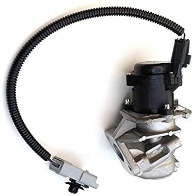 Delphi Eg10434-12B1 Egr Valfi Focus-Focus C-Max