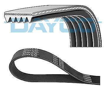 Dayco 5Pk1320 Kanallı Kayış Ferrarı 456 Mıtsubsubıshı 25 2.7 12V