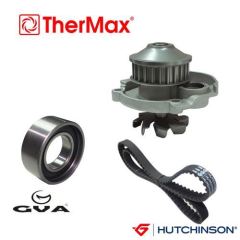 Thermax T15.181 Thermax Triger Eksantrik Gergi Seti Devirdaimlı D