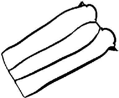 Reinz 71-33846-00 Üst Kapak Contası Cmax Fıesta Iv V 1.4 16V 1.6