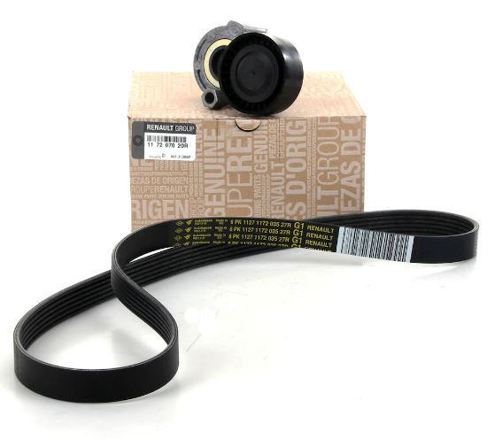 Renault 117207020R Renault Alternatör Gergi Kiti Clıo Iı-Iıı-Iv-K