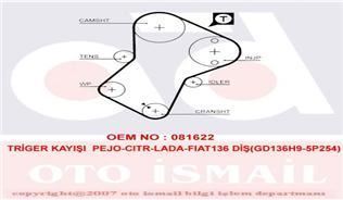 Gates 5049Xs Triger Eksantrik Kayışı Scudo Ducato / 405 Partner E