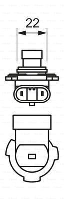 Ampul - Purelight - 12V - Hır2 (9012) - 55W - Px22D