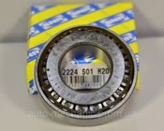 Snr Ec42224S01H206 Şanzıman Rulmanı Master 10-