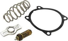 Mahle Tx5179D Termostat Iveco 79C