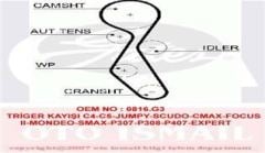 Triger Eksantrik Kayışı Scudo / 307 308 407 806 807 Expert / C4 C