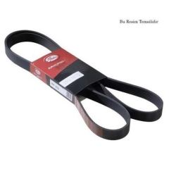 Gates 5Pk1858 V Kayışı Kanallı Pk Accent Era Getz 1.5 Crdı  Ps Ar