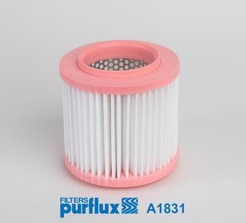 Purflux A1831 Hava Filtresi ( Audı : A8 (4E2,4E8) S8 Quattro 06-1