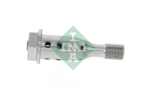 Ina 427002110 Vanos Civatası F20 Lci F21 Lci F22 F22 Lci F23 Lci